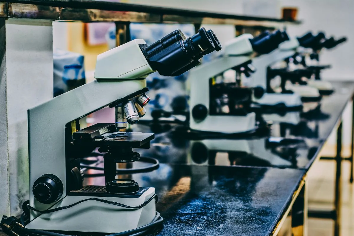 Od badań do wdrożenia – jak wygląda cykl innowacji w life sciences